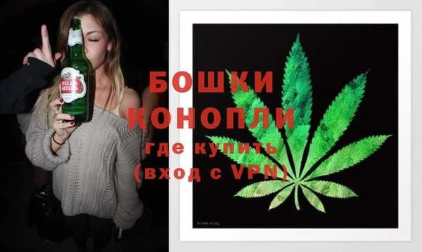тгк Дмитровск