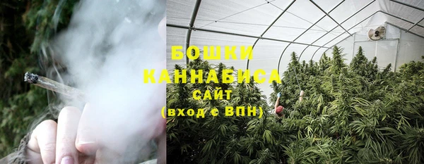 не бодяженный Ельня